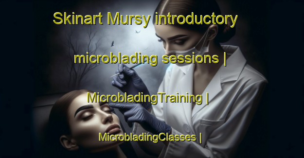 Skinart Mursy introductory microblading sessions | MicrobladingTraining | MicrobladingClasses | SkinartTraining-Poland